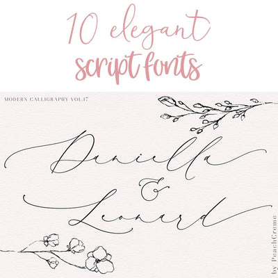 10 Elegant Script Fonts
