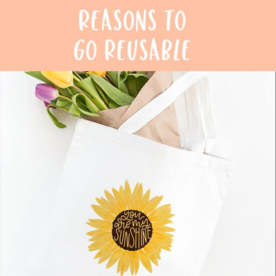 Reasons to Go Reusable
