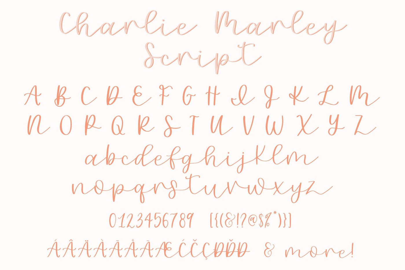 Charlie Marley Font - JordynAlisonDesigns