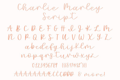 Charlie Marley Font - JordynAlisonDesigns