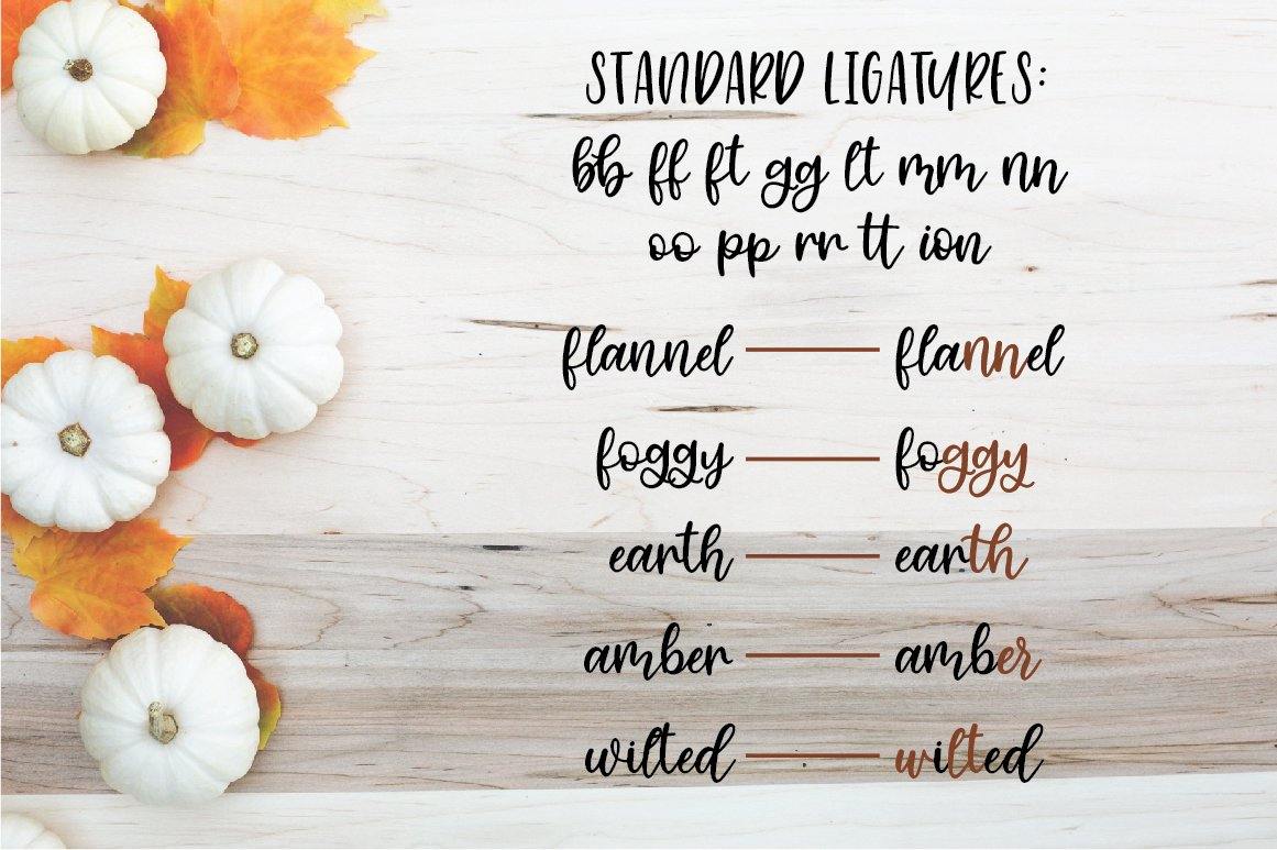 standard ligatures for cinnamon sugar font