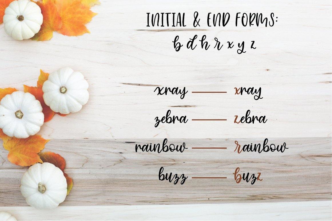 initial and end forms cinnamon sugar font